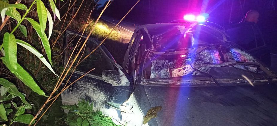 На дороге Серов - Сосьва водитель Daewoo сбил лося. Животное погибло