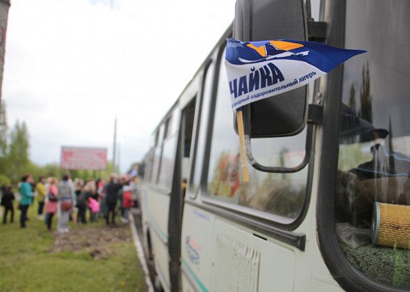 Определены количество мест и стоимость путевок в загородные лагеря Серова на 2026 год