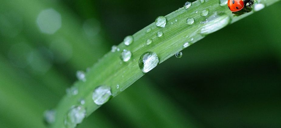 Уральский гидрометеоцентр: жары пока не будет