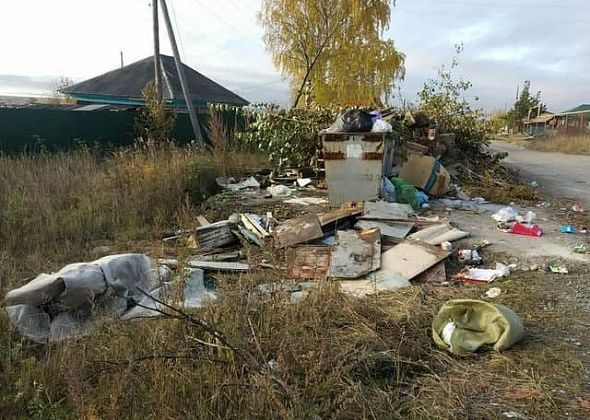 Серовчанка заявила, что мусор из ее района не вывозили два месяца 