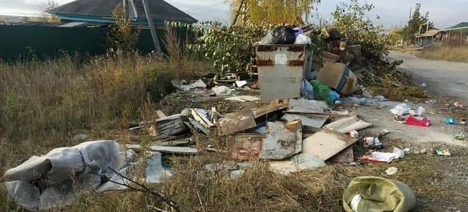 Серовчанка заявила, что мусор из ее района не вывозили два месяца 
