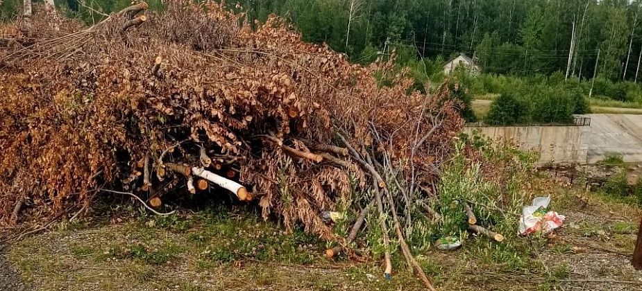 «Люди свалку начинают устраивать». Серовчанку интересует, когда с водохранилища вывезут вырубленный кустарник