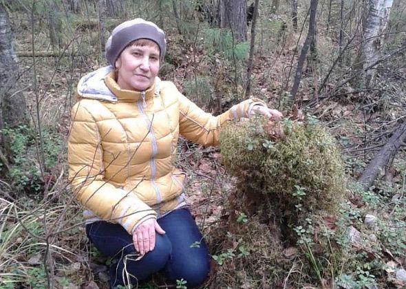 Требуется помощь в поисках пропавшей серовчанки