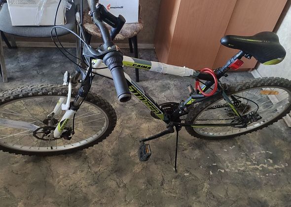 В Серове студентка и школьница украли из подъезда велосипед. Через 9 дней подкинули его обратно