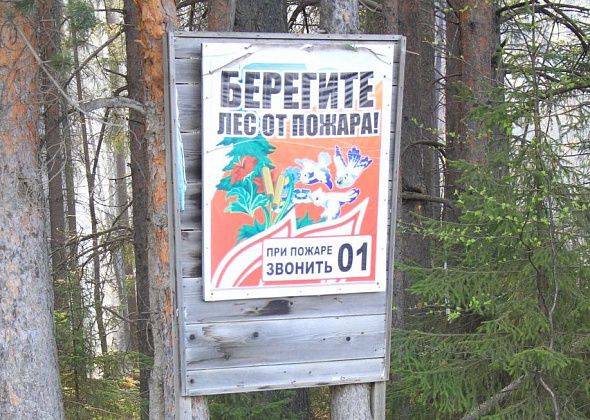 В Серове отменен особый противопожарный режим