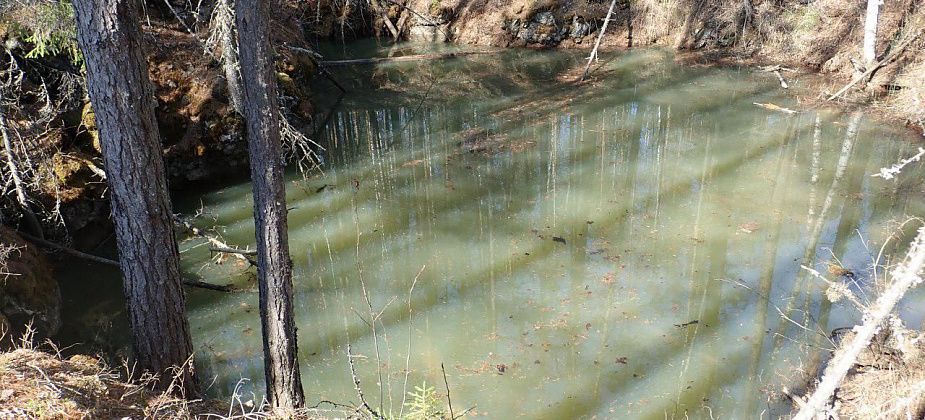 И снова про Шегультан. "Деньги решают все. Но с природой-матушкой такие компромиссы не проходят"