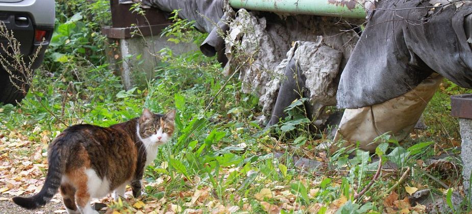 Стало известно, когда в домах серовчан включат отопление