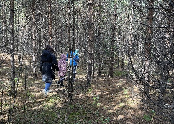 Бездействие чиновников Серова нарушает требования указа президента. Облсуд «засилил» решение об обеспечении инфраструктурой участков под ИЖС