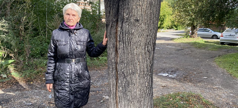 Серовчанка задается вопросом: "Зачем убрали липу?"