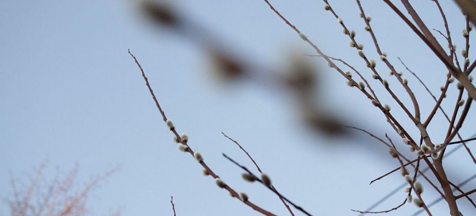 Рассказываем, куда сходить в Серове в первые апрельские выходные