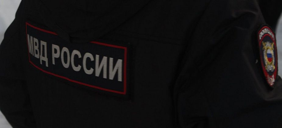 Полиция не стала возбуждать уголовные дела по факту гибели собак в Серове