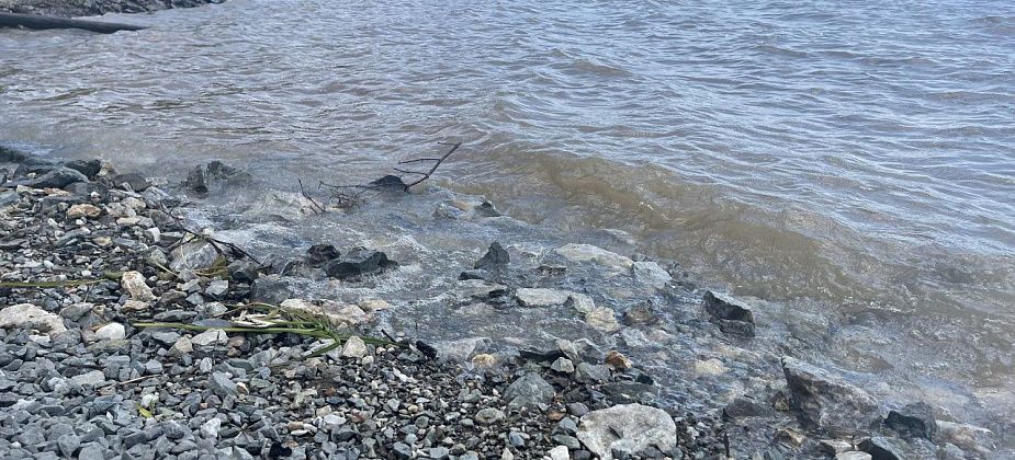 ГИМС напоминает о правилах безопасного отдыха у воды