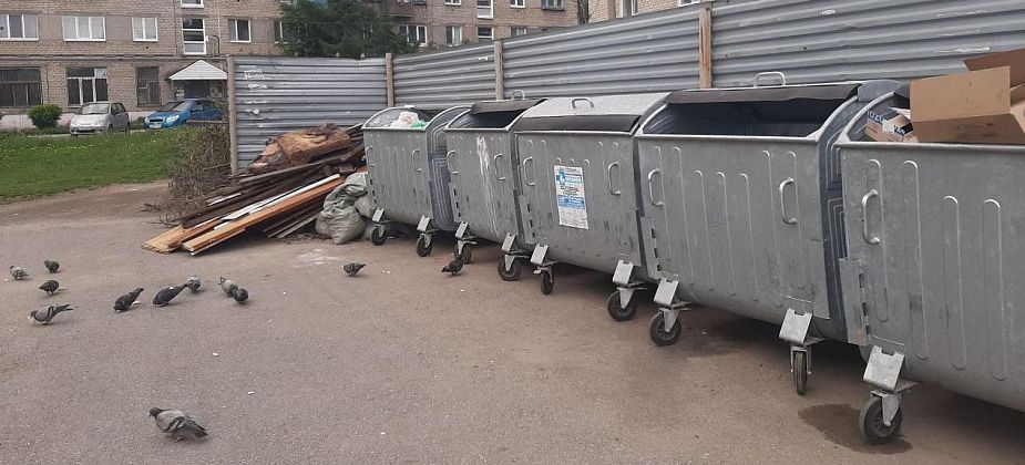 В Серове ищут подрядчика, который займется содержанием контейнерных площадок