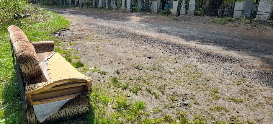 Мертвые сраму не имут