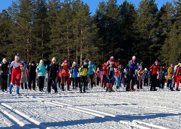 В массовом забеге "Лыжня России-2023" в Серове приняло участие 1650 человек