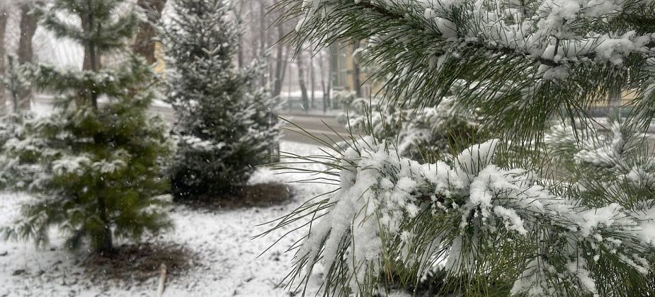 Потепления на севере области стоит ждать не раньше середины апреля
