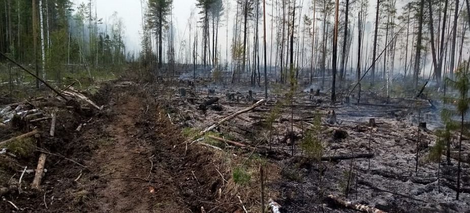 В районе поселка Подгарничный Серовского района тушат лес. Огонь охватил 38 гектаров