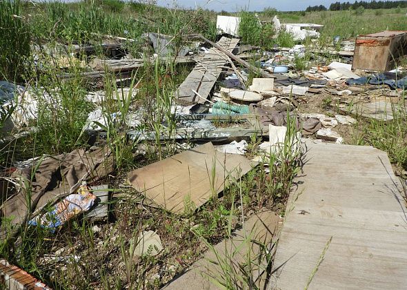 Власти Серова планируют вывезти мусор с дороги между Новой Колой и Медянкино