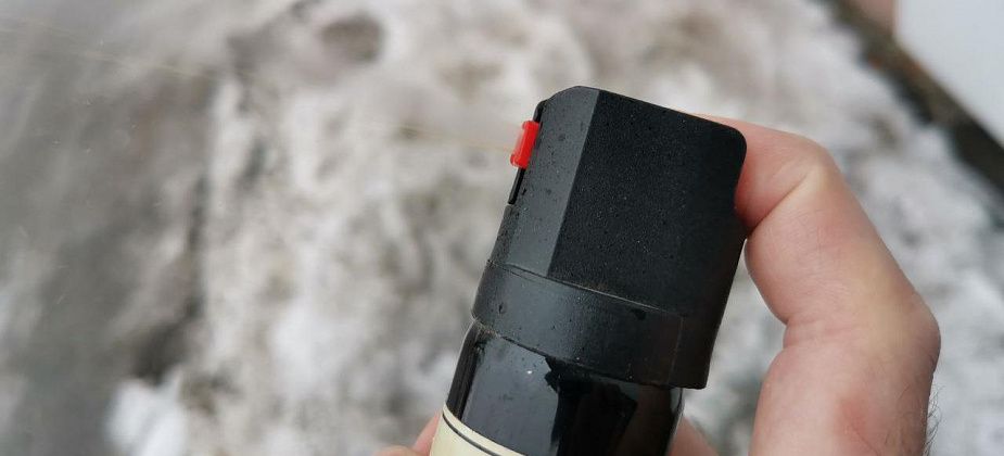 «Брызнул газовым баллончиком сотруднику ДПС в лицо». Серовчанина будут судить за насилие над полицейским