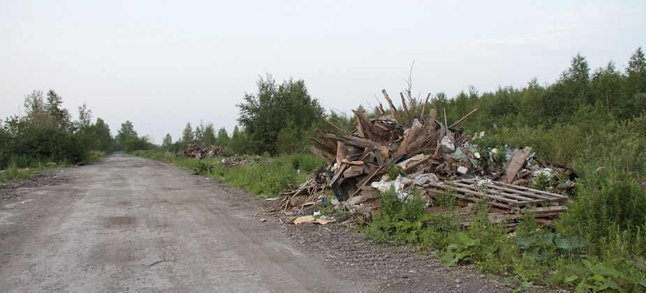 Уборкой мусора на дороге между Медянкино и Новой Колой займется «Серовавтодор»