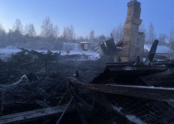 "Идет обгоревший..." Очевидцы рассказали о страшном пожаре в коллективном саду под Серовом