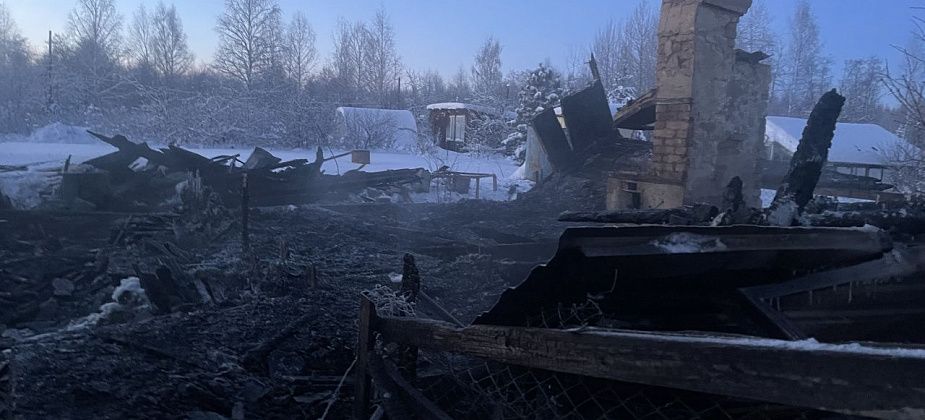 "Идет обгоревший..." Очевидцы рассказали о страшном пожаре в коллективном саду под Серовом
