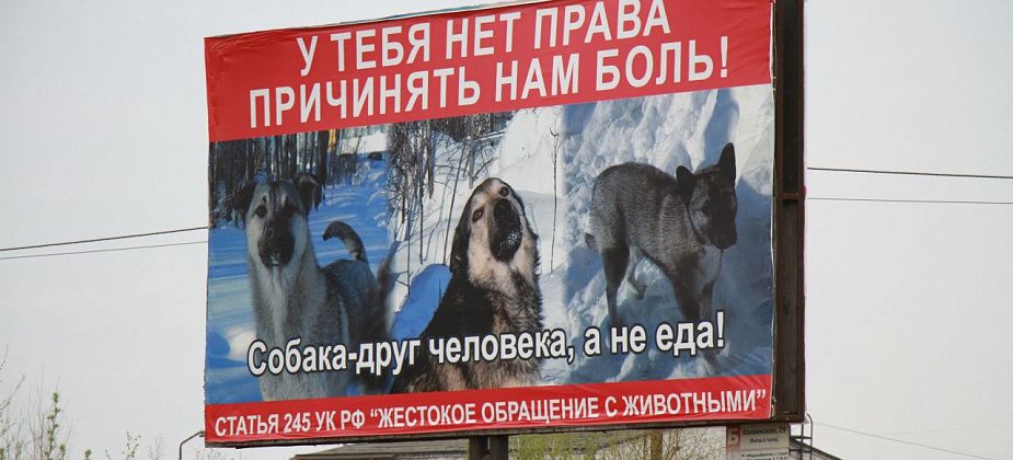 Серовчанка заявила, что съели трех собак. Полиция не нашла криминала