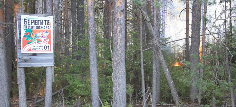 За свердловчанами, нарушающими требования пожарной безопасности, будут следить с помощью беспилотников