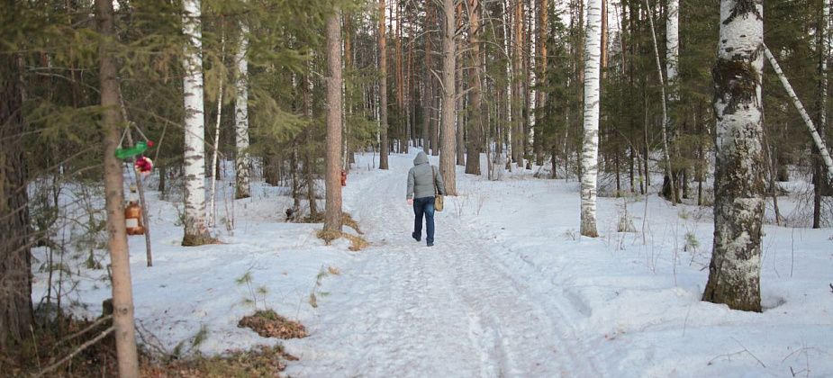 Жители серовского поселка Энергетиков жалуются на мусор, который оставляют на тропе здоровья