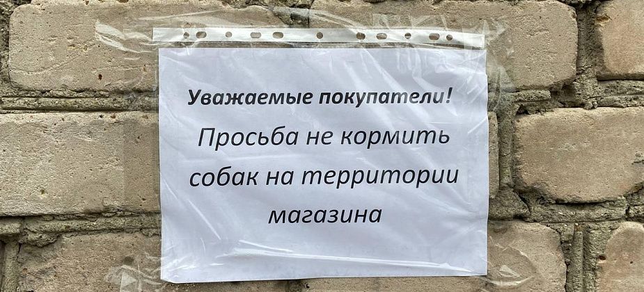 "Собаки сидят у дверей и ждут подачку". В Серове продавцы просят покупателей не кормить псов у магазина