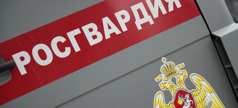 Пьяный серовчанин в кафе побил росгвардейцев. За что был осужден