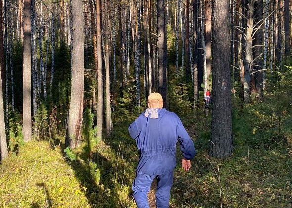 Серовчан приглашают прошагать 10 километров по лесным тропам