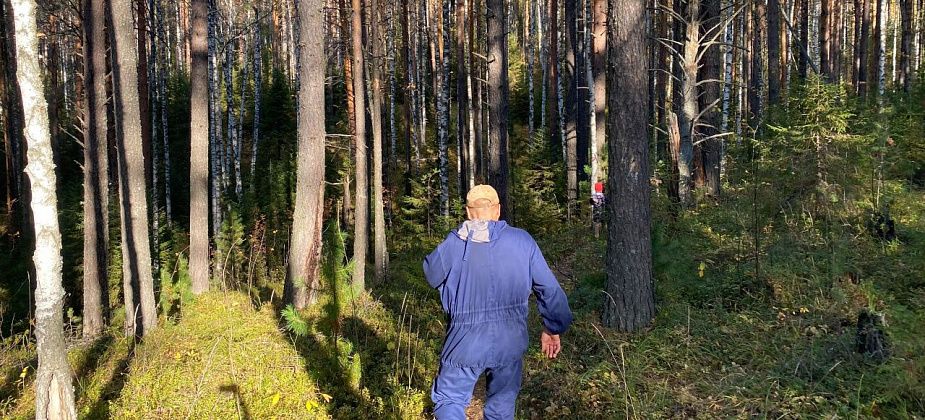 Серовчан приглашают прошагать 10 километров по лесным тропам