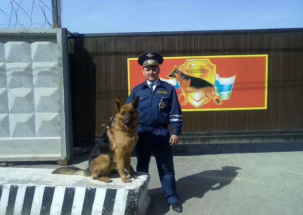 Инспектор ДПС из Серова, которого сбил нетрезвый водитель, пройдет курс реабилитации в Москве