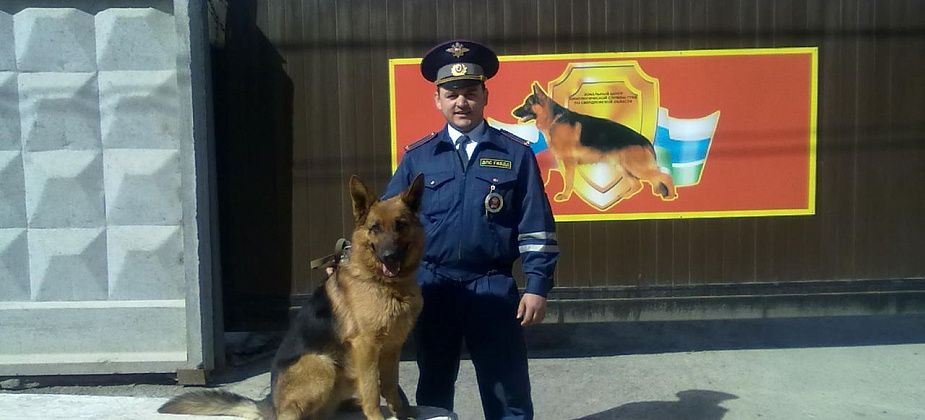 Инспектор ДПС из Серова, которого сбил нетрезвый водитель, пройдет курс реабилитации в Москве