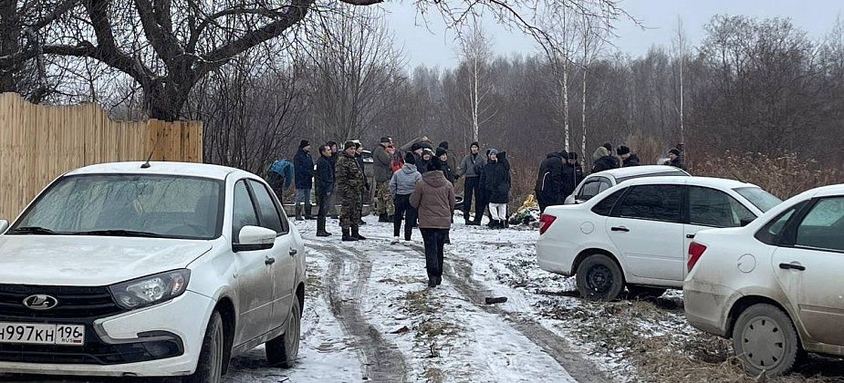 Серовчане рассказали о страшной находке на своем участке: “Голова отпилена, зазубринки видны” 