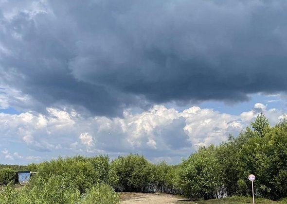 На севере области температура воздуха снизится до +22 градусов