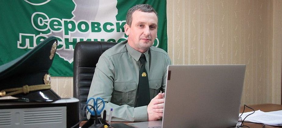 Представители Серовского лесничества получили награды в резиденции губернатора Свердловской области