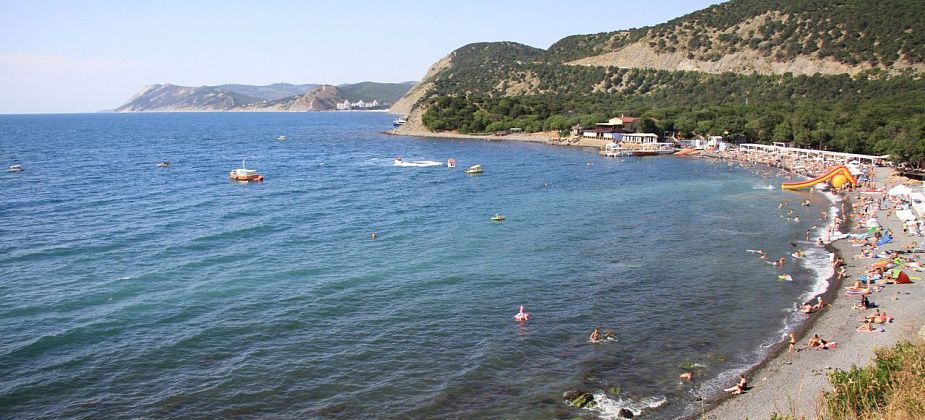 Серову выделили больше 8 миллионов на отдых «отдельных категорий детей» на Черном море