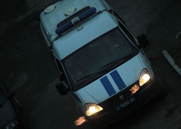 Серовчанина будут судить за жестокое обращение с животным. Он убил щенка, ударив о землю и дерево