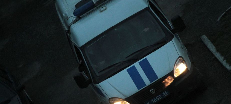 Серовчанина будут судить за жестокое обращение с животным. Он убил щенка, ударив о землю и дерево