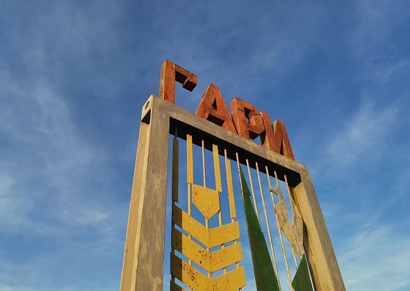 Две группы детского сада Гарей закрыты на карантин. У воспитателя - симптомы коронавируса