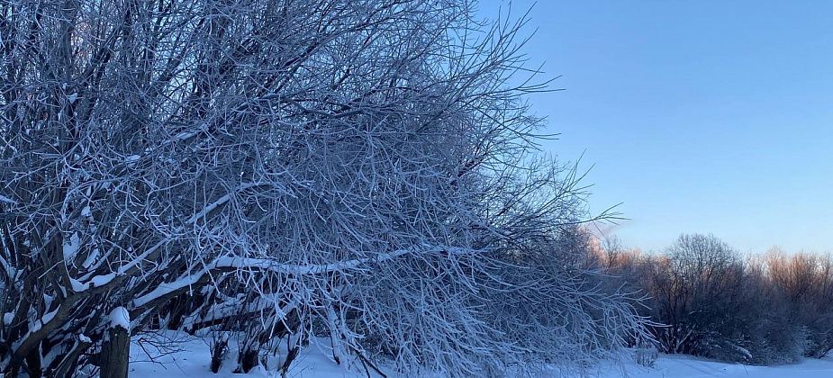 Синоптик рассказала, какой будет погода в новогоднюю ночь