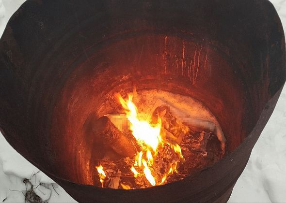 Полиция Серова уничтожила 30 граммов наркотиков