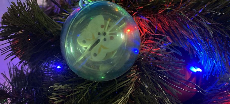 Поход в лес за елкой, как часть новогодних праздников