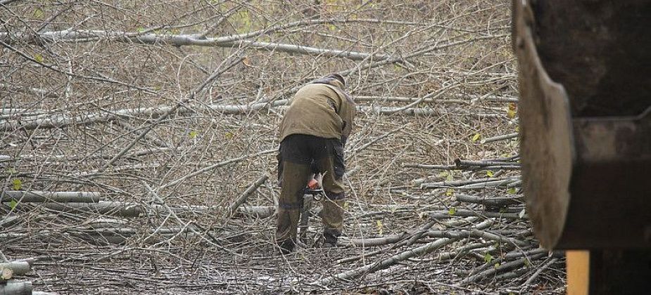 Серовчане продолжают выбирать общественную территорию, которую благоустроят в 2024 году