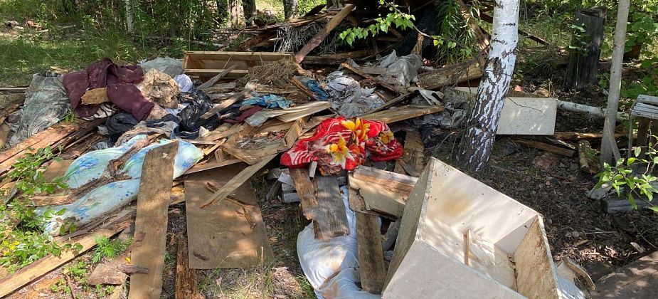 Под Новой Колой обнаружилось полтора десятка несанкционированных свалок