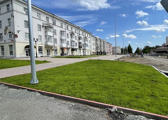 На площади Металлургов высадят 43 шаровидные ивы