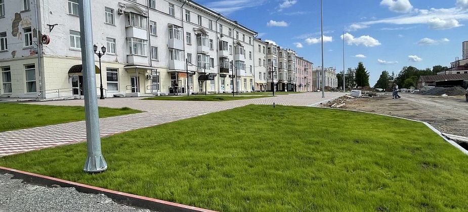 На площади Металлургов высадят 43 шаровидные ивы