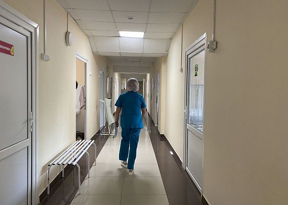 Пациент с подозрением на сибирскую язву госпитализирован в Подмосковье, сообщили в Роспотребнадзоре